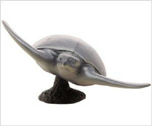 Febaritto  77619 archelon software model FP-005 NEW from Japan_7