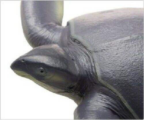 Febaritto  77619 archelon software model FP-005 NEW from Japan_9