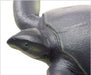 Febaritto  77619 archelon software model FP-005 NEW from Japan_9