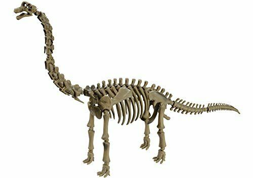 Re-Ment Pose skeleton dinosaur series 104 Brachiosaurus 43177-61017 NEW_1