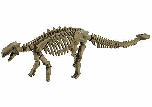 Re-Ment Pose skeleton dinosaur series 106 Ankylosaurus NEW from Japan_1