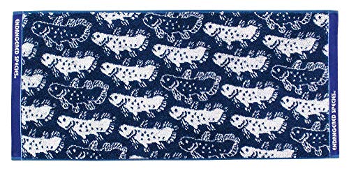 COLORATA IMABARI Face Towel 80 x 34cm Coelacanth Blue NEW from Japan_1