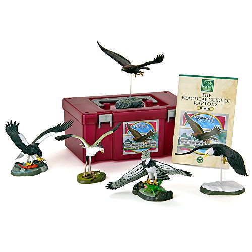Endangered Species Raptors PVC Figure Set 5 pcs In Box Colorata NEW fr ...