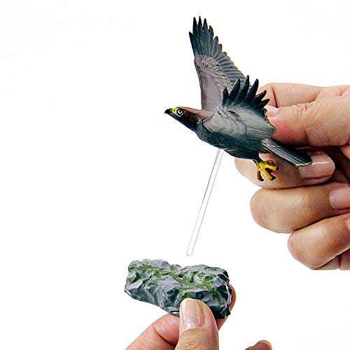 Plastic Raptors Endangered Species Raptors PVC Figure Set 5 pcs In Box Colorata NEW fr ...