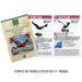 Endangered Species Raptors PVC Figure Set 5 pcs In Box Colorata NEW from Japan_7