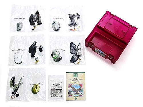 Endangered Species Raptors PVC Figure Set 5 pcs In Box Colorata NEW from Japan_8