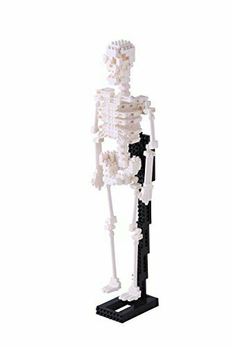 nanoblock Human Skeleton NBM014 NEW from Japan_1