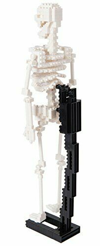 nanoblock Human Skeleton NBM014 NEW from Japan_3
