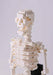 nanoblock Human Skeleton NBM014 NEW from Japan_4