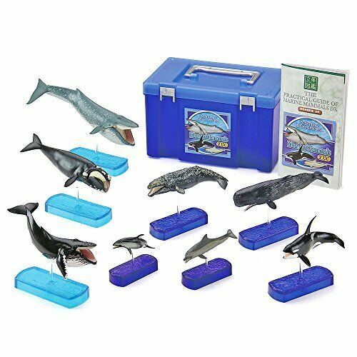 COLORATA Real Figure Marine Mammals Deluxe BOX NEW from Japan_1