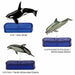 COLORATA Real Figure Marine Mammals Deluxe BOX NEW from Japan_7
