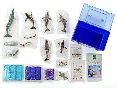 COLORATA Real Figure Marine Mammals Deluxe BOX NEW from Japan_8