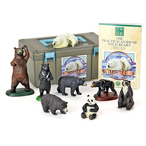 Colorata 3D Real Figure Box Endangered Animals Wild Bears Action Figure NEW_1
