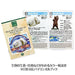 Colorata 3D Real Figure Box Endangered Animals Wild Bears Action Figure NEW_2