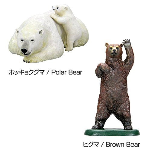 Colorata 3D Real Figure Box Endangered Animals Wild Bears Action Figure NEW_3