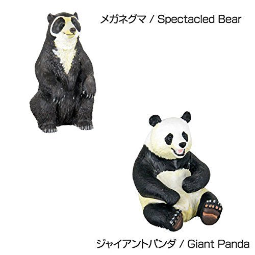 Colorata 3D Real Figure Box Endangered Animals Wild Bears Action Figure NEW_4