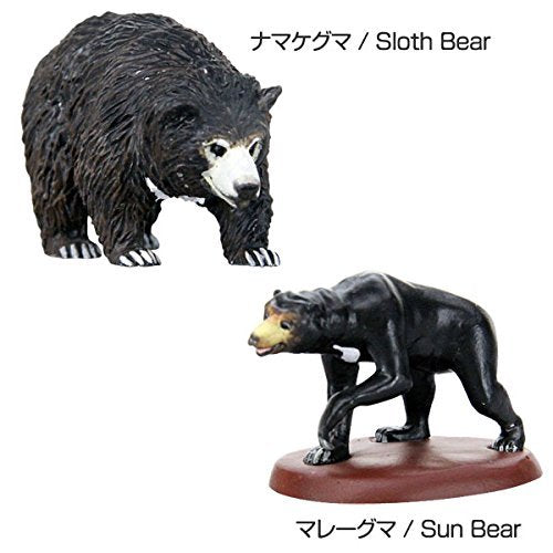 Colorata 3D Real Figure Box Endangered Animals Wild Bears Action Figure NEW_5