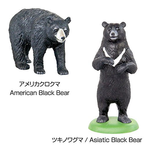 Colorata 3D Real Figure Box Endangered Animals Wild Bears Action Figure NEW_6
