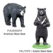 Colorata 3D Real Figure Box Endangered Animals Wild Bears Action Figure NEW_6