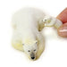 Colorata 3D Real Figure Box Endangered Animals Wild Bears Action Figure NEW_7