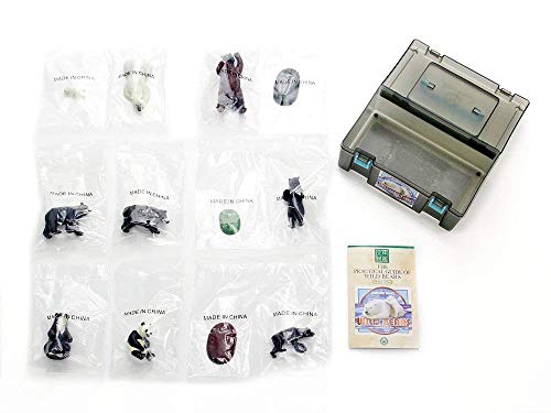 Colorata 3D Real Figure Box Endangered Animals Wild Bears Action Figure NEW_9