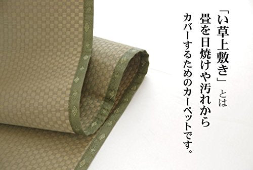 Japanese Igusa Tatami Rush Carpet 88x176cm Shiranui Checkered Pattern NEW_2