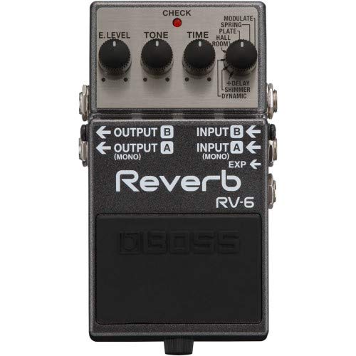 BOSS RV-6 Reverb Expression Pedal Effector 8- Effects NEW from Japan_1