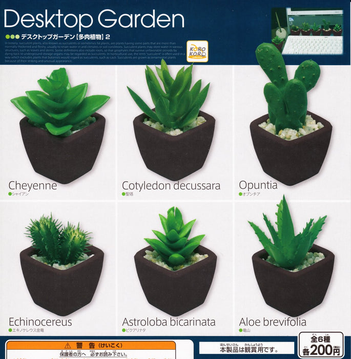 Korokoro Desktop Garden succulents Figure Set of 6 Complete Gashapon toys NEW_1