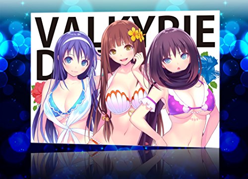VALKYRIE DRIVE –BHIKKHUNI- PS Vita marvelous NEW from Japan_2