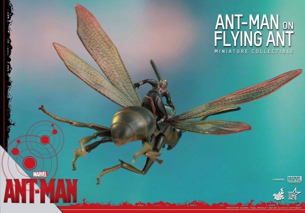 Movie Masterpiece Compact ANT-MAN ON FLYING ANT Action Figure Hot Toys NEW Japan_4
