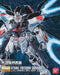 BANDAI MG 1/100 STRIKE FREEDOM GUNDAM KUNIO OKAWARA EXHIBITION Ver Model Kit NEW_1