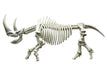 Re-ment Pose skeleton mammals rhinoceros H135xW215xD70mm 0.27lb NEW from Japan_1