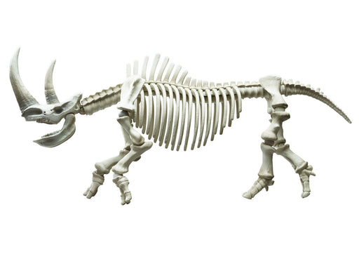 Re-ment Pose skeleton mammals rhinoceros H135xW215xD70mm 0.27lb NEW from Japan_1