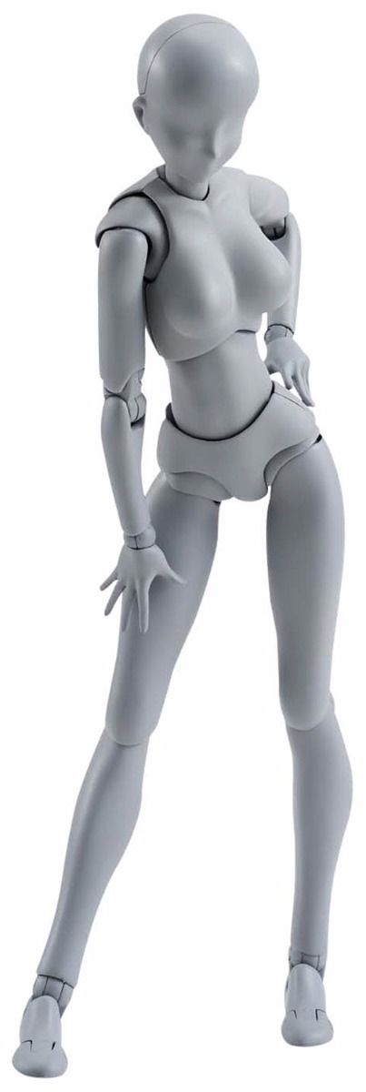 S.H.Figuarts BODY CHAN DX SET GRAY COLOR Ver Action Figure BANDAI NEW from Japan_1