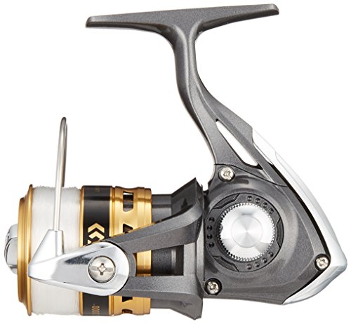 Daiwa 16 Joinus 2000 Spinning Reel with Nylon Line Gold Stainless Steel Handle_2