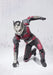S.H.Figuarts Captain America Civil War ANT-MAN Action Figure BANDAI NEW Japan_5