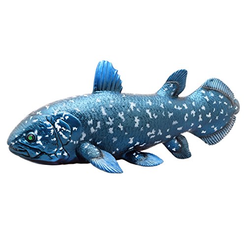 Favorite Ancient Fish FF-301 Coelacanth vinyl model Figure L41 x H16 cm NEW_1
