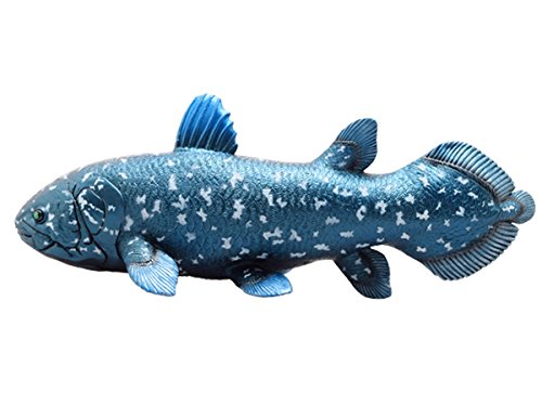 Favorite Ancient Fish FF-301 Coelacanth vinyl model Figure L41 x H16 cm NEW_2