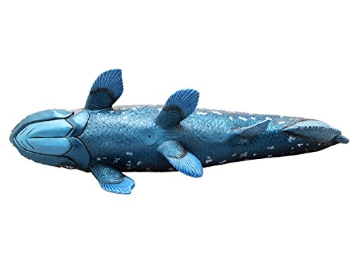 Favorite Ancient Fish FF-301 Coelacanth vinyl model Figure L41 x H16 cm NEW_4