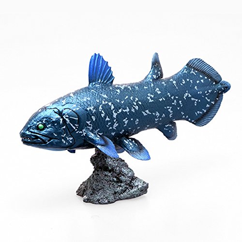Favorite Coelacanth soft Vinyl Figure FF-001 L18.5xW5.6xH10.5cm Real Fish Figure_1