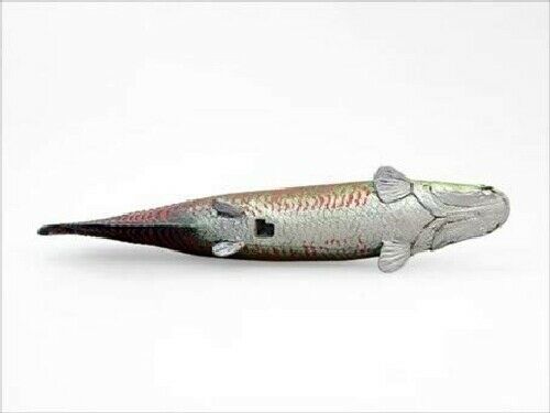 Febaritto Arapaima software model FF002 NEW from Japan_4