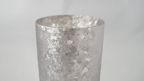 HORIE Niigata Pure titanium double tumbler kiln PREMIUM 350cc 2 pieces Silver_3