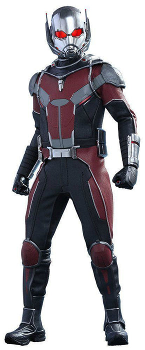 Movie Masterpiece Captain America Civil War ANT-MAN 1/6 Figure Hot Toys NEW F/S_1