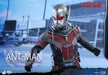Movie Masterpiece Captain America Civil War ANT-MAN 1/6 Figure Hot Toys NEW F/S_3