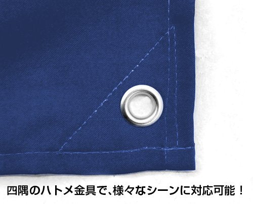 Girls und Panzer Oarai Girls' Academy Flag 90 x 64 cm NEW from Japan_3