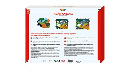George Luck Double Puzzle Asia 20 x 20 x 1.3 cm NEW from Japan_5