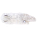 COLORATA Plush Stuffed Animal Arctic Fox (11cm x 10cm x 32cm) NEW from Japan_4
