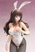 FREEing Tony's Bunny Sisters MIYUKI USAMI 1/4 PVC Figure NEW from Japan F/S_5