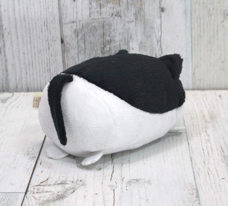 Shinada Stuffed Toy Nokkete Nyanko Hachiware NKNK-0068H Polyester H6xW7xD10cm_2