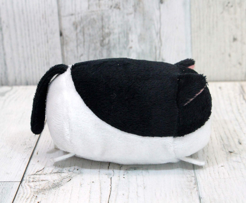 Shinada Stuffed Toy Nokkete Nyanko Hachiware NKNK-0068H Polyester H6xW7xD10cm_3
